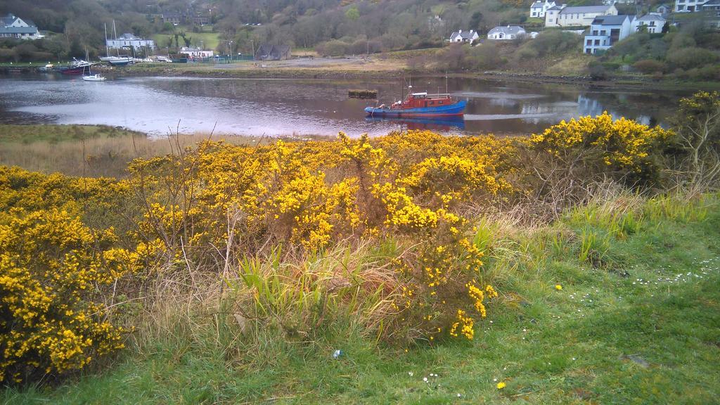 Clifden Hostel Exterior foto